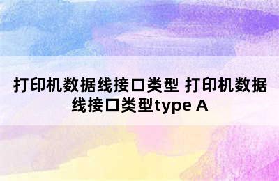 打印机数据线接口类型 打印机数据线接口类型type A